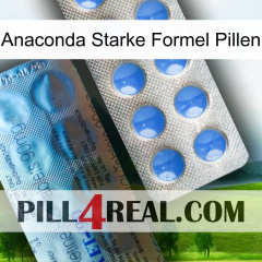 Anaconda Strong Formula Pills 40